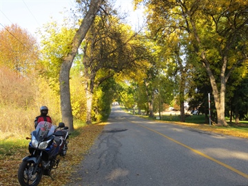 Otter Lake Road, Armstrong