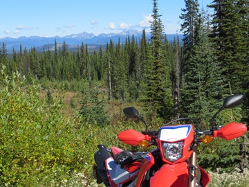 Home Road, Monashee Mountains, 2024